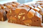 6.TURTLE FUDGE_image